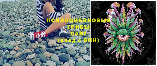 спиды Алексеевка