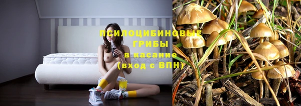 спиды Алексеевка