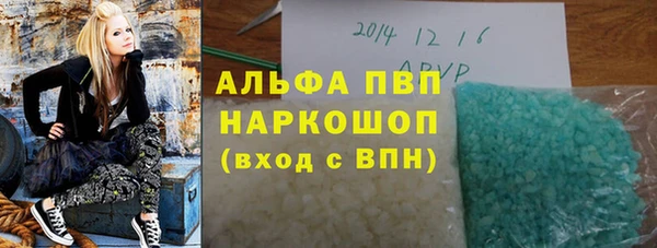 стафф Алзамай