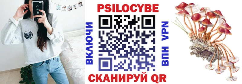 kraken ссылки  Урюпинск  Галлюциногенные грибы прущие грибы  цены  
